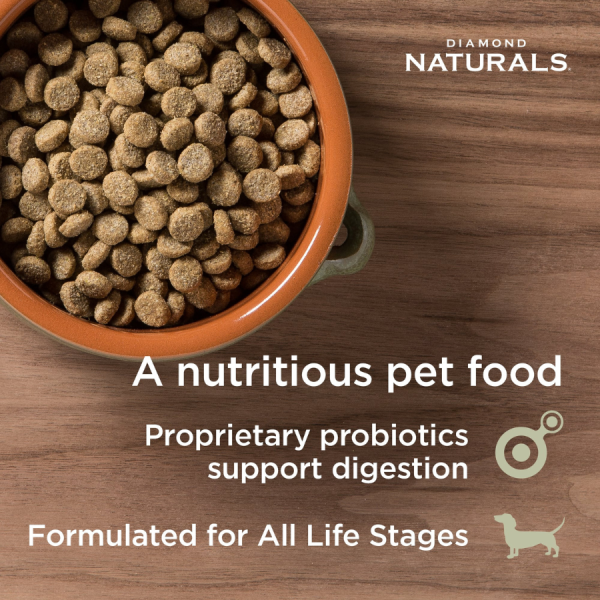 Diamond Naturals Skin & Coat Formula All Life Stages Dry Dog Food Online Sale