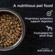 Diamond Naturals Beef Meal & Rice Formula Adult Dry Dog Food, 40 lbs Supply