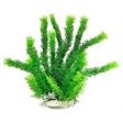 Aquatop Aquatic Supplies - Cabomba Like Aquarium Plant Hot on Sale