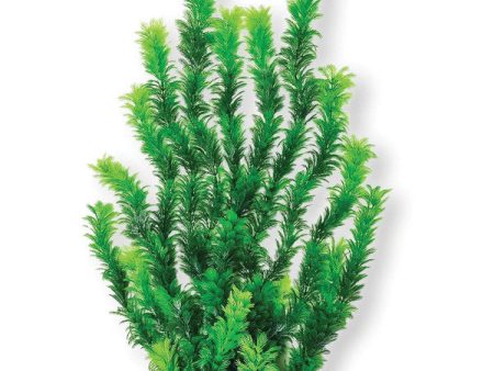 Aquatop Aquatic Supplies - Bushy Aquarium Plant Online Sale