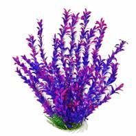 Aquatop Aquatic Supplies - Hygro-like Aquarium Plant Sale