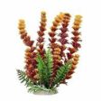 Aquatop Aquatic Supplies - Cabomba Fire Aquarium Plant Online now